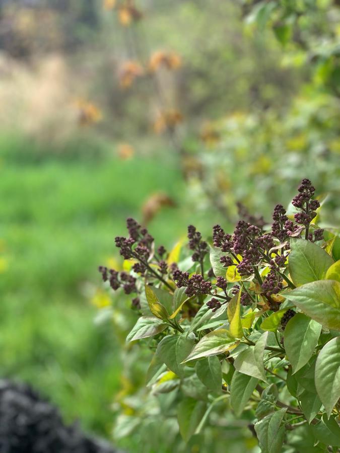 Halltorps Gaestgiveri ภายนอก รูปภาพ